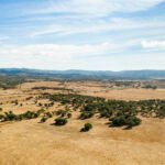 Terrain sécurisé – Lotissement Éden Kozoua