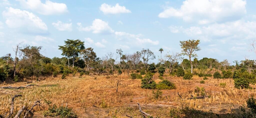 Terrain loti résidentiel – Projet Éden Kribi 1