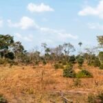 Terrain loti résidentiel – Projet Éden Kribi 1