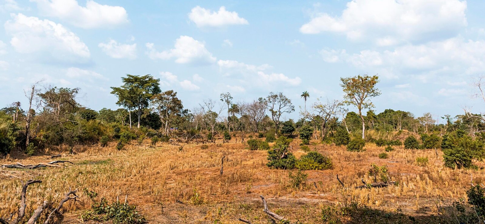 You are currently viewing Terrain loti résidentiel – Projet Éden Kribi 1